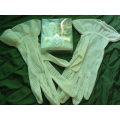 VINTAGE GLOVES AND FREE GIFT