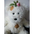 SOFT COLLECTABLE TEDDY CHEZ