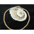 FOUX 2 TONED PEARL FASHION CHAIN WITH SHELL 57 CM