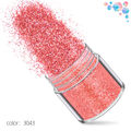 12 Bottles Glitter 10g