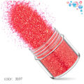 12 Bottles Glitter 10g