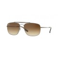 Ray Ban COLONEL  Gunmetal with Clear Gradient Brown Lens Worth R 1900