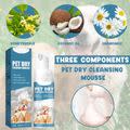 PET DRY CLEANING MOUSSE