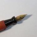 Fountain pen with 14kt gold nib