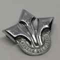 SADF Corps of professional officers cap badge