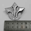 SADF Corps of professional officers cap badge