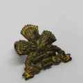 SADF SSB Special service battalion step outs collar badge