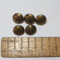 Canada Royal Medical Corps buttons - Lot of 5 smaller buttons