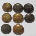 South African Defense Force military buttons - Lot of 8 with different markers