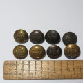 South African Defense Force military buttons - Lot of 8 with different markers