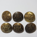 South African Defense Force military uniform buttons - Lot of 6
