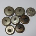 Royal Natal Carbineers buttons lot of 8