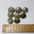 Royal Natal Carbineers buttons lot of 8