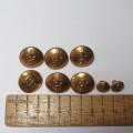 SA Medical Corps buttons lot of 8 - 6 Uniform and 2 epaulette