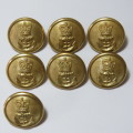 Royal Navy lot of 7 buttons Queens crown all made by Firmin, London