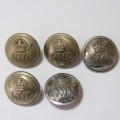 Natal Mounted Rifles buttons lot of 5 - Medium size