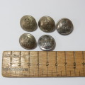 Natal Mounted Rifles buttons lot of 5 - Medium size