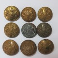 British Military brass buttons - Lot of 9 - All from different makers