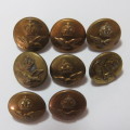 South African Air force buttons lot of 8 smaller size buttons all different makers
