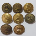 Royal Navy buttons - Lot of 8 from 4 different makers