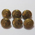 SA medical Corps WW2 and earlier lot of 6 brass buttons - Smaller size