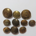 Royal Engineers George 5 buttons - Lot of 10 - 2 Tunic - 2 Pocket - 5 Epaulette