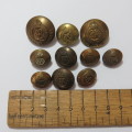 Royal Engineers George 5 buttons - Lot of 10 - 2 Tunic - 2 Pocket - 5 Epaulette
