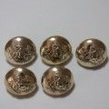 BSAP lot of 5 medium uniform buttons made by Tool Mould, Salisbury