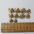 Rhodesia and Nyasaland Army Service Corps lot of 10 buttons - 4 Medium - 4 Small - 2 Pocket