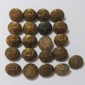 South African Defense Force military buttons - Lot of 20 early small buttons with no makers mark