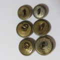 Natal Carbineers Buttons - Pre 1934 - Lot of 6 buttons - 1 Large, 3 medium and 2 small