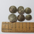 Natal Carbineers Buttons - Pre 1934 - Lot of 6 buttons - 1 Large, 3 medium and 2 small