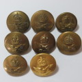 South African Air force buttons - Lot of 8 buttons - All different makers