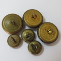 South African Defense Force Special Service Battalion - Lot of 6 buttons