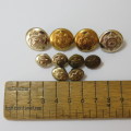 South African Police lot of 10 buttons