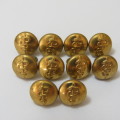 SA medical Corps buttons lot of 10 very small size buttons