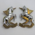 Pair of SA Technical Services collar badges