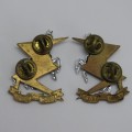 Pair of SA Technical Services collar badges