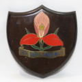 SADF Military Academy plaque