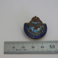 WW2 Air Force Comrades in war and peace button badge