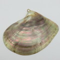 Oyster shell with pearl - made into pendant