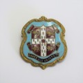 Antique enameled Cambridge University pin badge