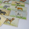 Cigarettes cards - Dogs by WD and HO Wills - lot of 19 out of 50 cards