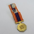 SADF Pro Patria medal miniature