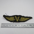 Unusual V cloth wing - Victory?