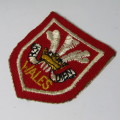 Vintage Wales Rugby cloth badge
