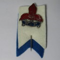 Vintage WP Rugby pin badge