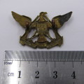 SADF Regiment De Wet collar badge