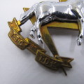 SA Technical service corps collar badge