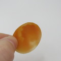 Vintage Cameo for jewellery - 23,4 mm x 30,3 mm